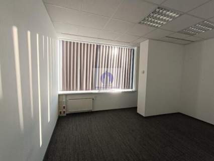 Śródmieście lokal biurowy 270,50 m2 do wynajęcia