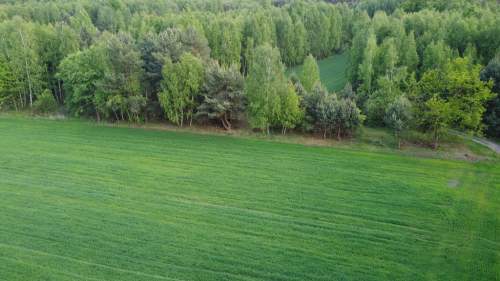 Działka o pow. 1,63 ha w Karolowie gm. Chotcza.