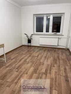 Obok Kina FEMINA, ładne, zadbane, od zaraz