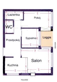 3 pokoje - Gocławek - bezpośrednio wolne od zaraz