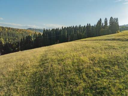Działka budowlana - Łapsze Niżne - 2000m2