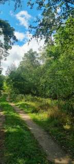 Działki budowlane 7 min. od Aleksandrowa łódzkiego, natura
