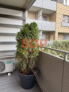 Przestronne 3 pokoje, Tęczowa 66 m2 duży balkon parking