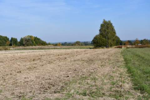 Działka rolno-budowlana 43a - Strażów