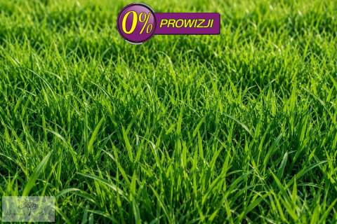  0 % PROWIZJI OD KUPUJĄCEGO 