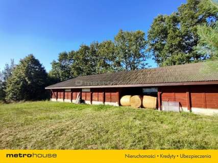 3,63 ha - Dom 264 m stodoła, Woźniki