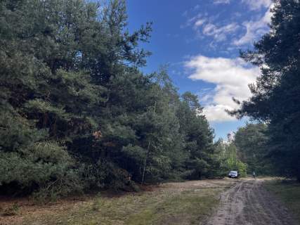 Działki budowlane 7 min. od Aleksandrowa łódzkiego, natura