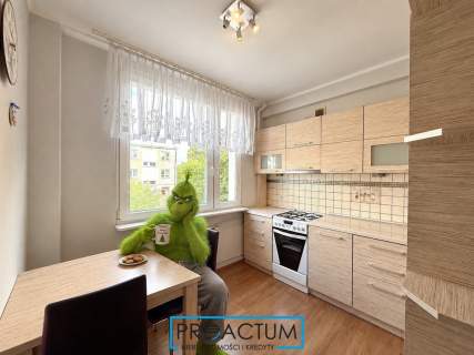 Ustawne 2 pokoje/balkon/garaż/park przy budynku