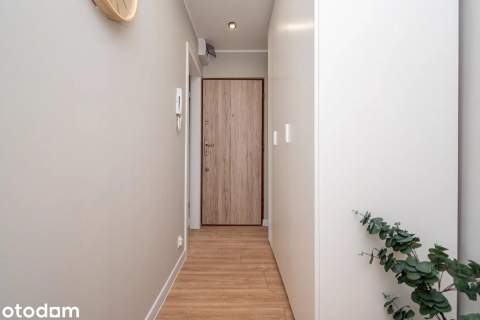 2 pokoje,38m2, balkon, winda, po remoncie, ul. Górnośląska