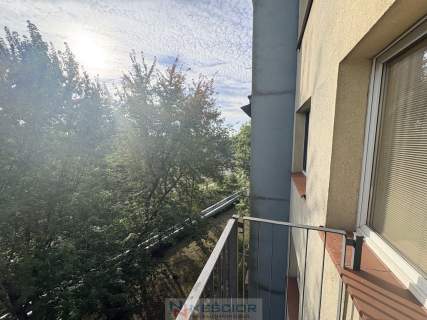 2 pokoje na wynajem