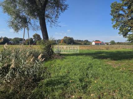 .Zagajnik ze stawem na działce lasy Wydana WZ na dom jednorodzinny