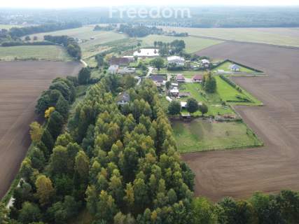 Dębniczka Dom otoczony lasem na działce 9190 m