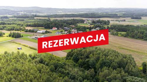Działka leśna Łęki Dolne - gm. Pilzno