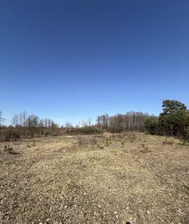 Działka budowlana 3000 m Kazuń Bielany, blisko Warszawy