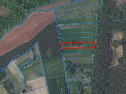 Działka 1,35 ha, Luboradów wśród lasów, Milicz
