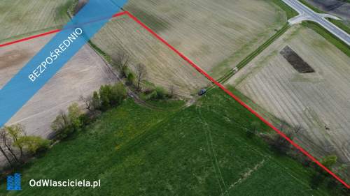 11 ha w jednym kawałku foremna działka 8 km od Lipna