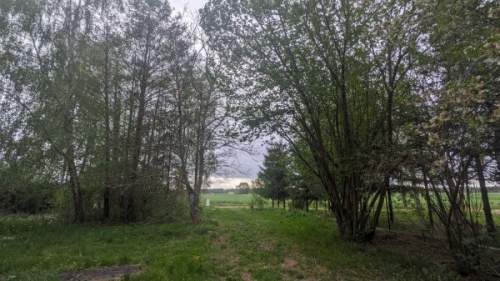 Działka siedliskowa na sprzedaż, 3700 m2, Stary Lubiel