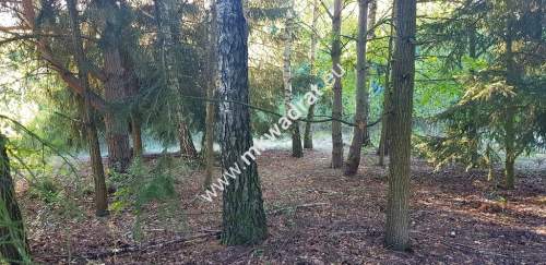 Działka w drugiej linii zabudowy