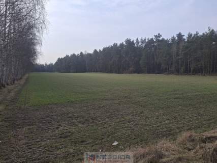 Dwie działki budowlane po 1000 m w Boroszkowie