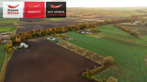 Pruszcz Gdański, Grabiny-Zameczek duża działka