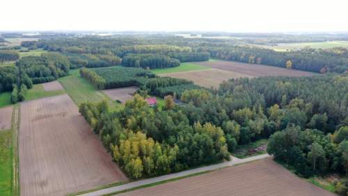 Siedlisko otoczone lasem Kubra-Przebudówka niedaleko Biebrzańskiego...