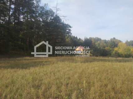 Niepowtarzalny dom w otoczeniu lasów.