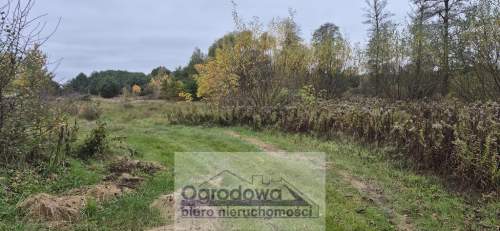 Dom wolnostojący 100 m , działka 16 200 m , dach z