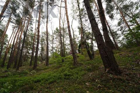 Działka budowlana na Wydmach 2221 m2 - bez prowizji
