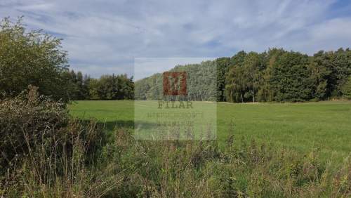 Przęsocin-bardzo atrakcyjna działka budowlana w pobliżu lasu.