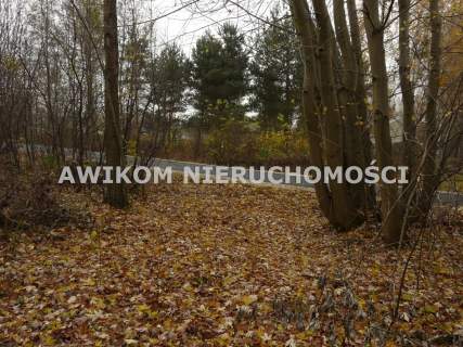Działka rolna na sprzedaż, 12500 m2, Antoniew