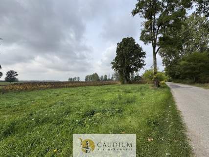 Działka 300 m z warunkami zabudowy   Kozjaty, gm. Topólka