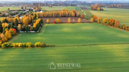 Działki w Sierakowie duże powierzchnie, potencjał i bliskość...