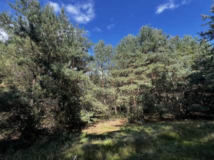 Działki budowlane 7 min. od Aleksandrowa łódzkiego, natura