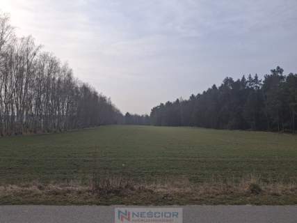 Dwie działki budowlane po 1000 m w Boroszkowie