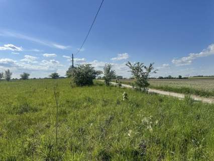Działka inwestycyjna na sprzedaż, 2010 m2, Lednogóra