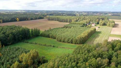 Siedlisko otoczone lasem Kubra-Przebudówka niedaleko Biebrzańskiego...