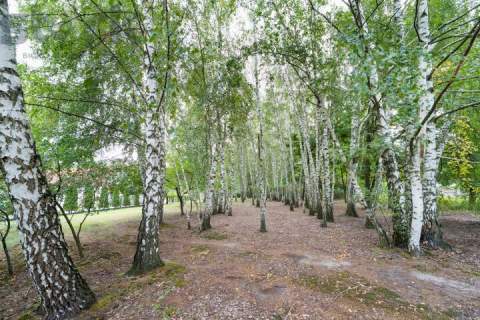 Prywatny park z możliwościa zabudowy/9400m/dostęp do rzeki Zw