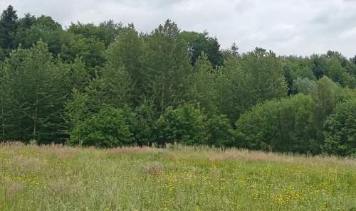 Dwie działki na sprzedaż 1800 m piękny widok