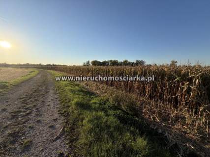 Działka rolna 45 arów Buków