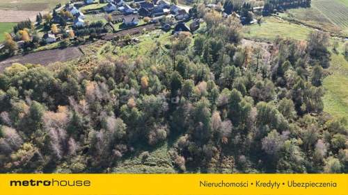 4 działki 3200 m Żytnia gm. Siedlce