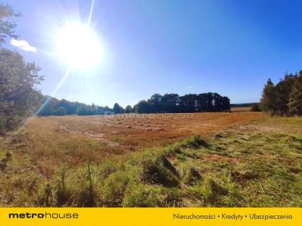 3,63 ha - Dom 264 m stodoła, Woźniki