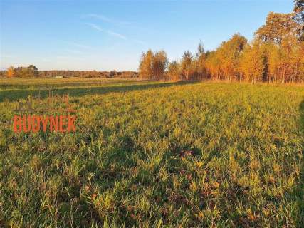 Działka budowlana - Domasławice