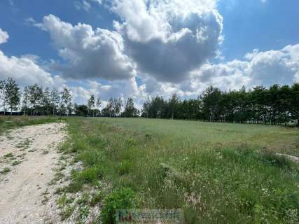 Działki / Żelków Kolonia