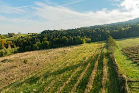 Działka budowlana na sprzedaż Kamionna Trzciana