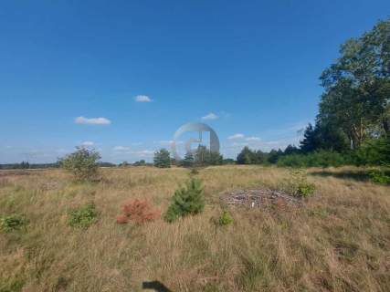 Działki - os. Poznańskie - ul. Migdałowa