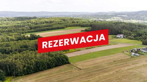 Działka leśna Łęki Dolne - gm. Pilzno