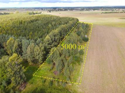 Działka rolna na sprzedaż, 5000 m2, Białogórzyno