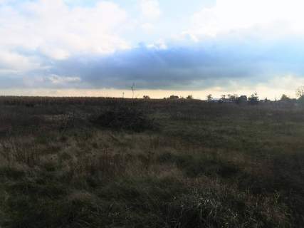 Działka siedliskowa na sprzedaż, 2681 m2, Gniezno