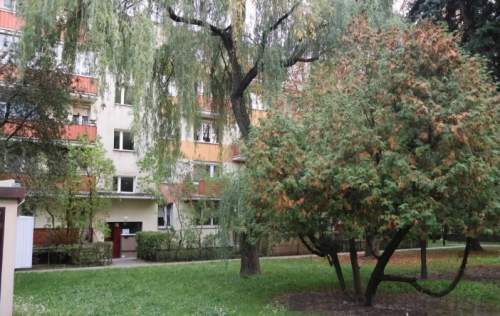 2-pokojowe mieszkanie w warszawskich Włochach