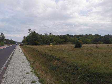 Działka inwestycyjna na sprzedaż, 40000 m2, Gniezno